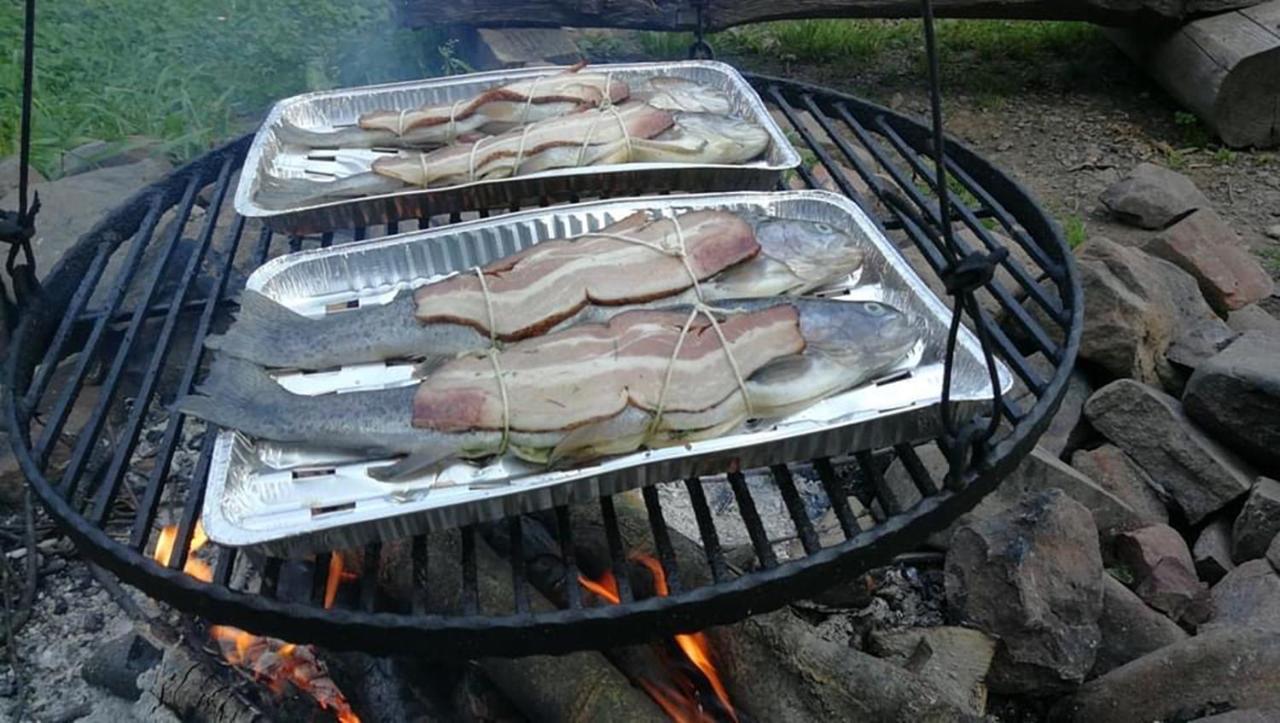 チスナ Bieszczadzki Klin Bklinヴィラ エクステリア 写真