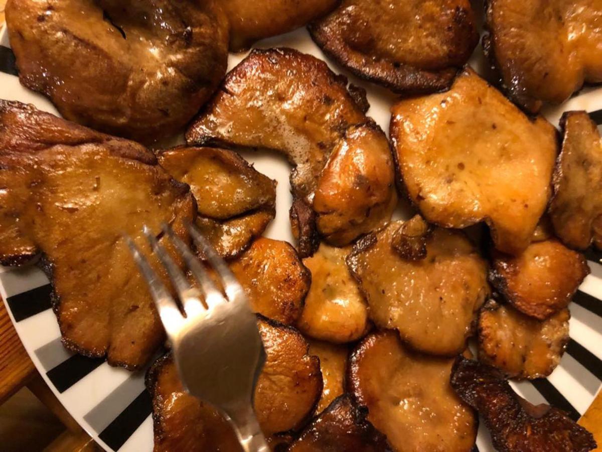 チスナ Bieszczadzki Klin Bklinヴィラ エクステリア 写真