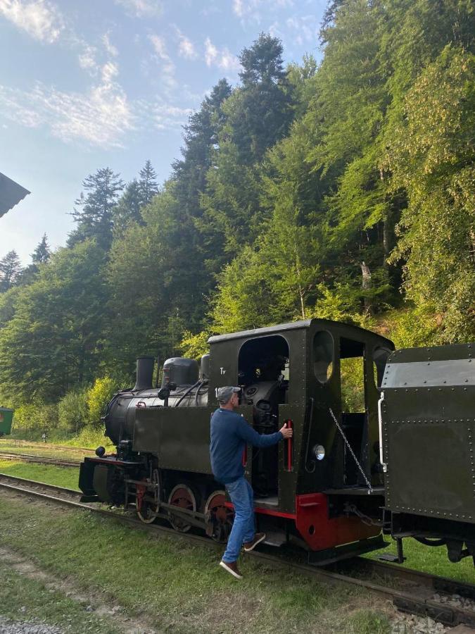 チスナ Bieszczadzki Klin Bklinヴィラ エクステリア 写真