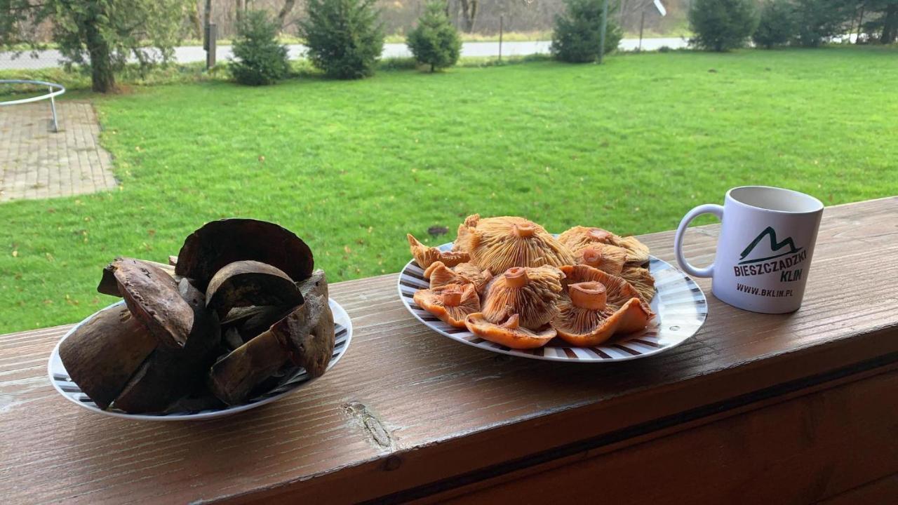 チスナ Bieszczadzki Klin Bklinヴィラ エクステリア 写真