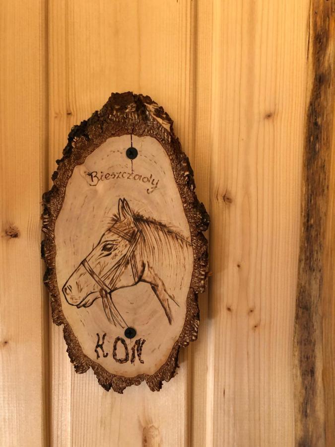 チスナ Bieszczadzki Klin Bklinヴィラ 部屋 写真